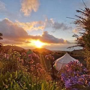 https://lotus-yurt.in-canary-islands.com